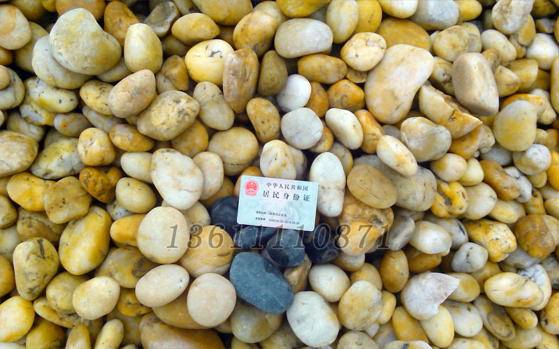 黄色鹅卵石+黑色鹅卵石3-5cm